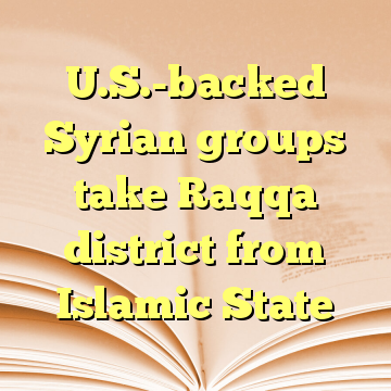 U.S.-backed Syrian groups take Raqqa district from Islamic State