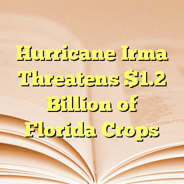 Hurricane Irma Threatens $1.2 Billion of Florida Crops