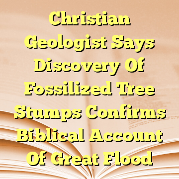 Christian Geologist Says Discovery Of Fossilized Tree Stumps Confirms Biblical Account Of Great Flood