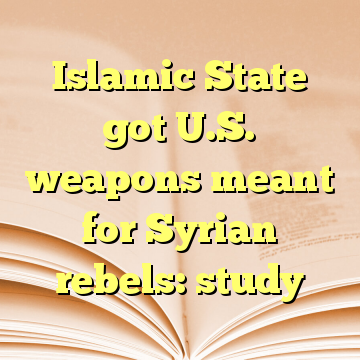 Islamic State got U.S. weapons meant for Syrian rebels: study