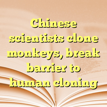 Chinese scientists clone monkeys, break barrier to human cloning