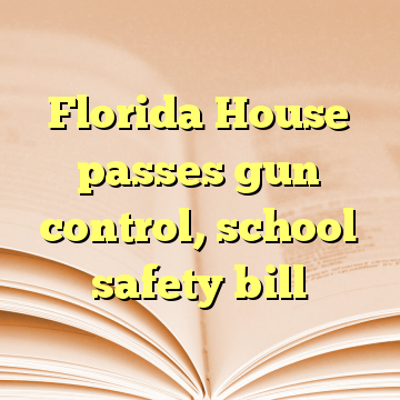 Florida House passes gun control, school safety bill