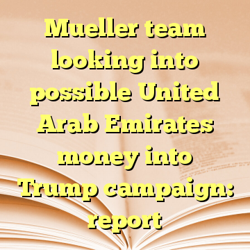 Mueller team looking into possible United Arab Emirates money into Trump campaign: report